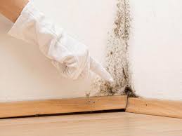 Best Real Estate Mold Inspection  in Middlefield, OH